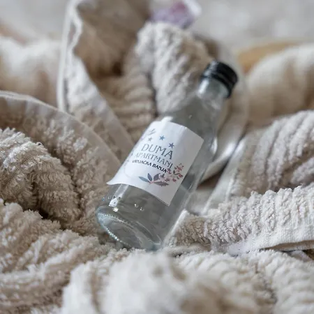 Apartament Duma 2 Vrnjačka Banja