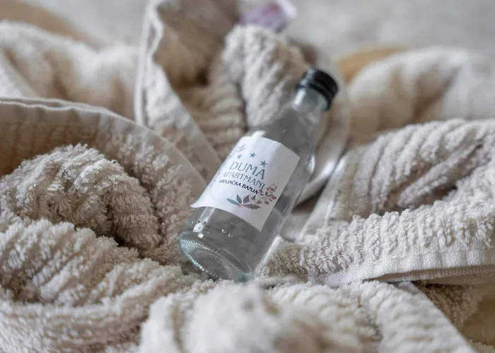 Lejlighed Duma 2 Vrnjačka Banja